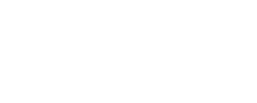 LG Travel NI